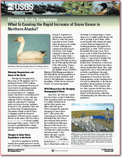 Changing Arctic ecosystems—What is causing the rapid increase of Snow Geese in northern Alaska?