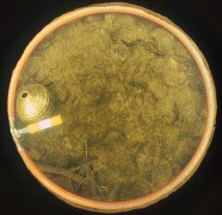 Sample of bed sediment