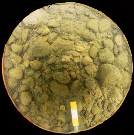 Sample of bed sediment