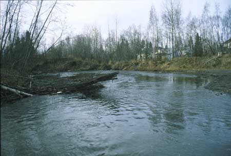 Transect 10, looking downstream from mid-channel.