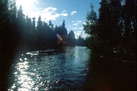 Transect 2, looking downstream from mid-channel.