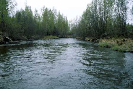 Transect 2, looking downstream from mid-channel.