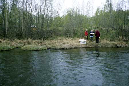 Transect 2, looking at right bank from mid-channel.