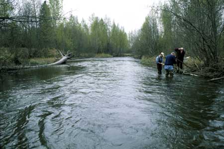 Transect 3, looking downstream from mid-channel.