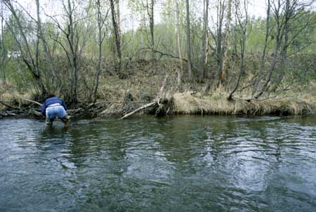 Transect 3, looking at right bank from mid-channel.