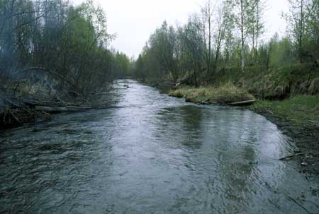 Transect 7, looking downstream from mid-channel.