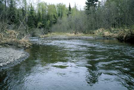 Transect 9, looking upstream from mid-channel.