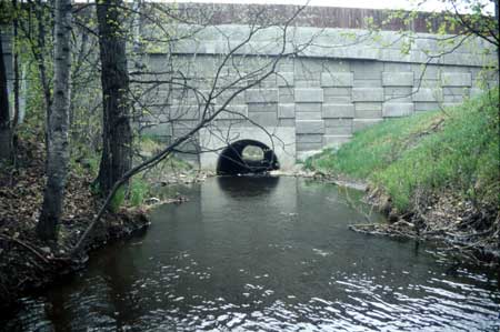 Transect 1, looking downstream from mid-channel.