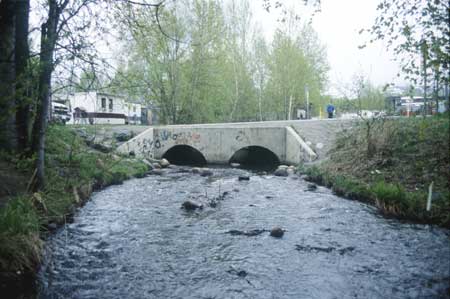 Transect 10, looking upstream from mid-channel.