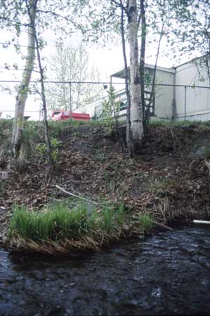 Transect 11, looking at left bank from mid-channel.