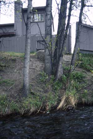 Transect 11, looking at right bank from mid-channel.