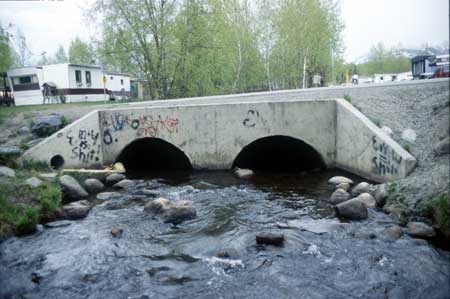 Transect 11, looking upstream from mid-channel.