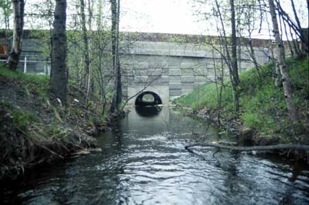 Transect 2, looking downstream from mid-channel.