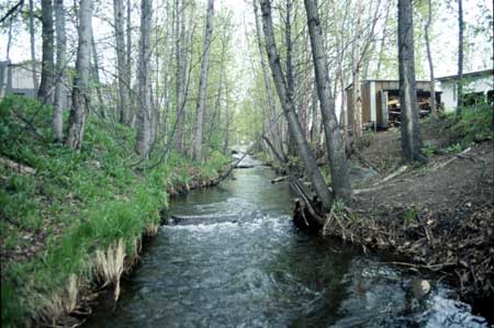 Transect 2, looking upstream from mid-channel.