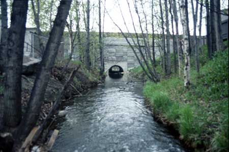 Transect 3, looking downstream from mid-channel.