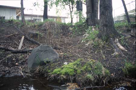 Transect 3, looking at left bank from mid-channel.