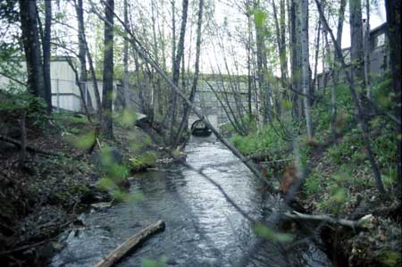 Transect 4, looking downstream from mid-channel.