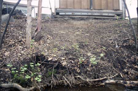 Transect 4, looking at left bank from mid-channel.