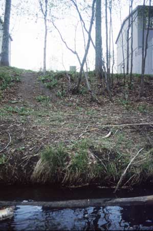 Transect 5, looking at right bank from mid-channel.