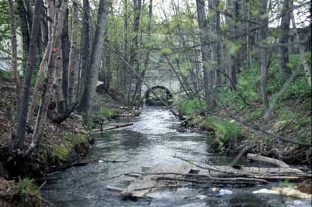 Transect 6, looking downstream from mid-channel.