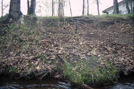 Transect 6, looking at left bank from mid-channel.