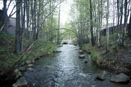 Transect 7, looking upstream from mid-channel.