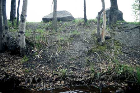 Transect 8, looking at left bank from mid-channel.