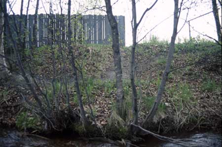 Transect 9, looking at left bank from mid-channel.