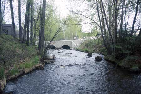 Transect 9, looking upstream from mid-channel.