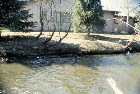 Transect 1, looking at left bank from mid-channel.