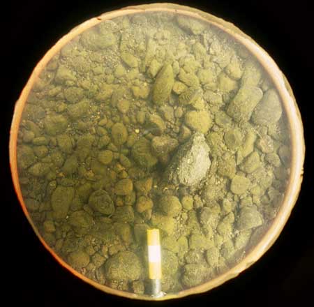 Transect 1, thalweg.