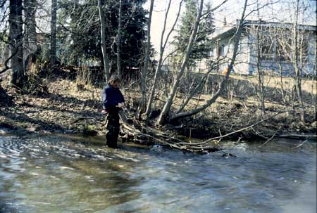 Transect 10, looking at left bank from mid-channel.