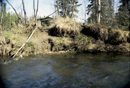 Transect 10, looking at right bank from mid-channel.