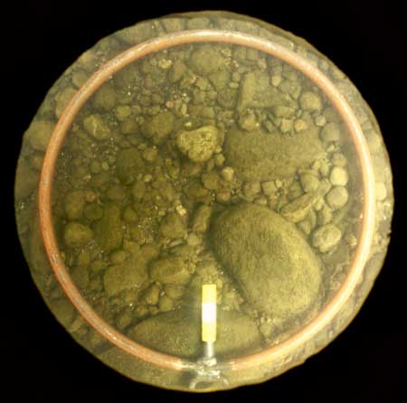 Transect 10, thalweg.