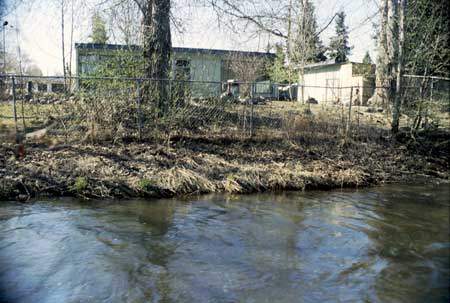 Transect 11, looking at left bank from mid-channel.