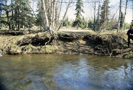 Transect 11, looking at right bank from mid-channel.