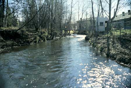Transect 11, looking upstream from mid-channel.