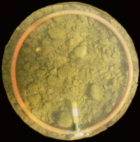 Transect 11, thalweg.