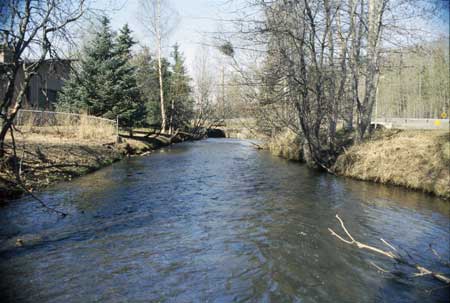 Transect 2, looking downstream from mid-channel.