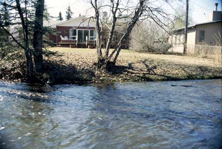 Transect 2, looking at left bank from mid-channel.