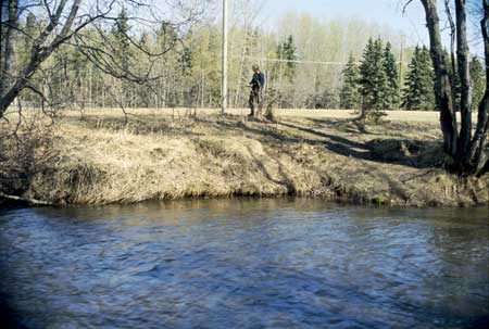 Transect 2, looking at right bank from mid-channel.