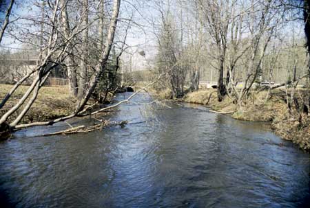 Transect 3, looking downstream from mid-channel.