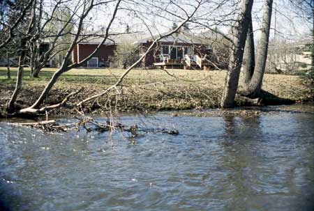 Transect 3, looking at left bank from mid-channel.