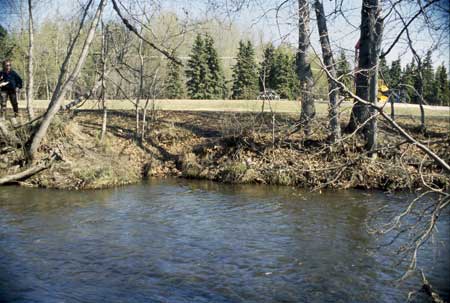 Transect 3, looking at right bank from mid-channel.