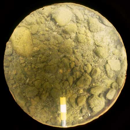 Transect 3, point 1.