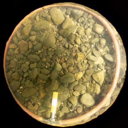 Transect 3, thalweg.