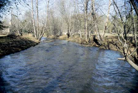 Transect 4, looking downstream from mid-channel.