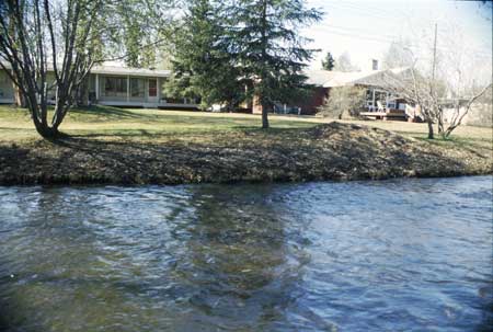 Transect 4, looking at left bank from mid-channel.