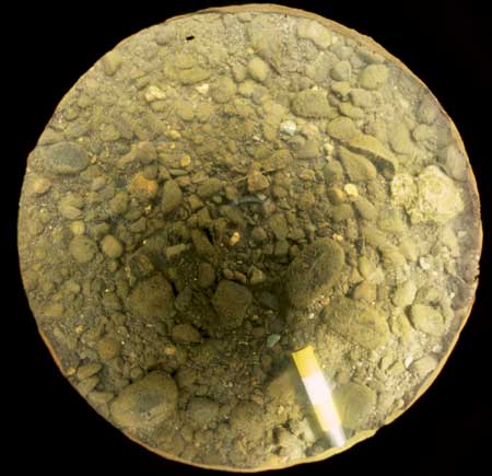 Transect 4, point 2.