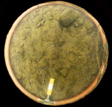 Transect 4, thalweg.